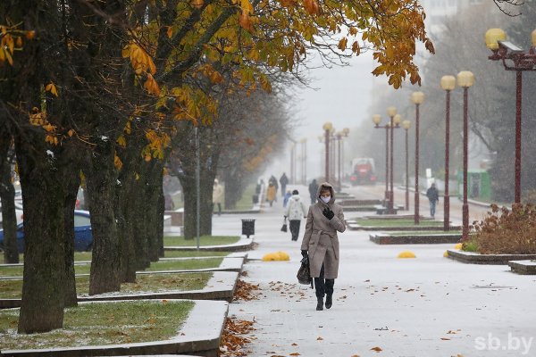 Прогулка по дождливому ноябрьскому лесу