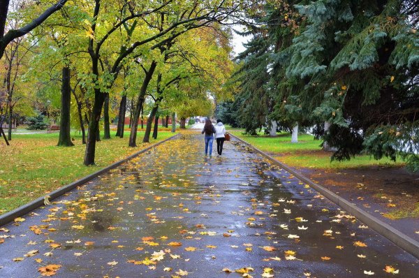 Фото разной погоды