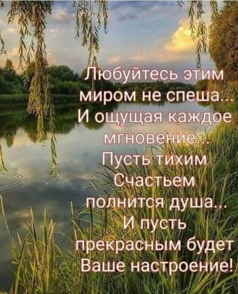 Любуйся этим миром не спеша