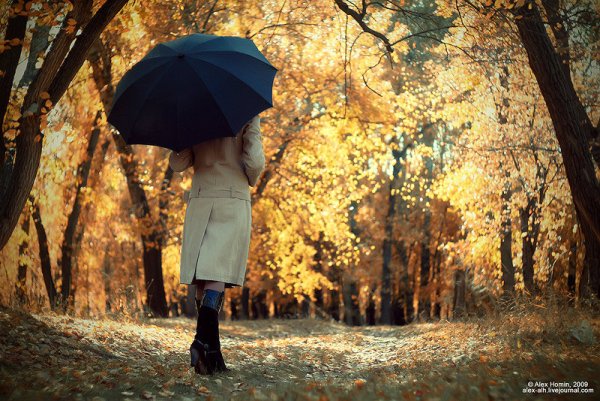 Осень девушка со спины