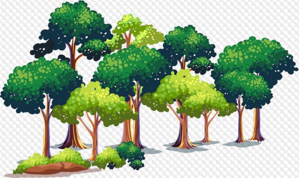 Лес на прозраччноммфоне