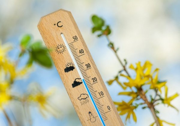 Термометр лето