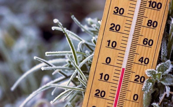 Термометр для заморозки