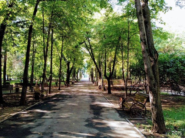 Алматинский парк Москва