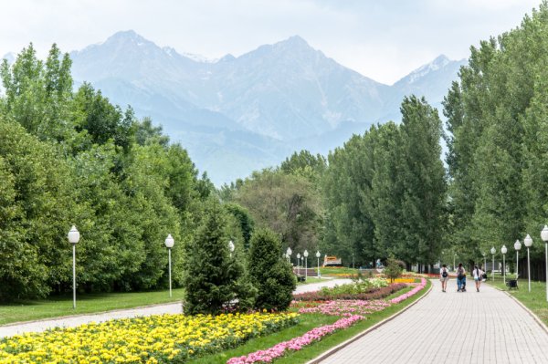 Алма Ата весной