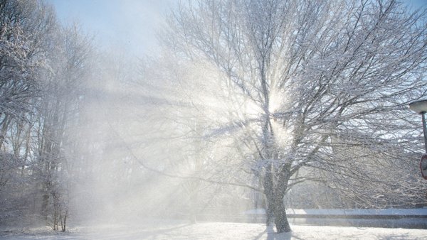 Светлая зима