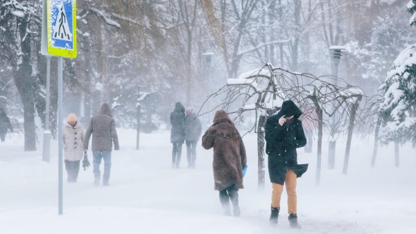 Зимняя Пурга в городе