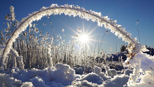 Солнечный зимний день в городе