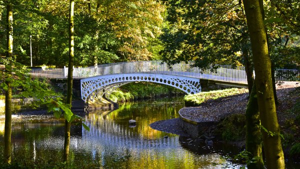 Шахунский парк мостик