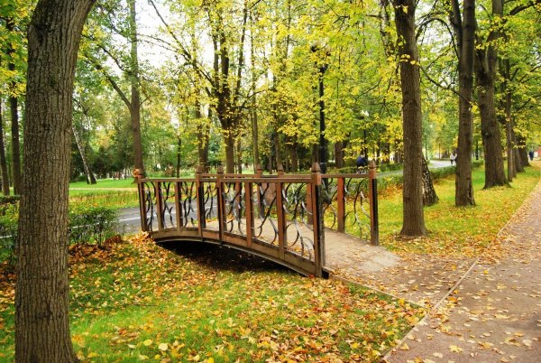 Измайловский парк скамейки