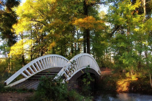 Монрепо китайские мостики