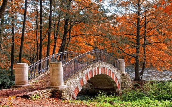Парк Монрепо в ноябре