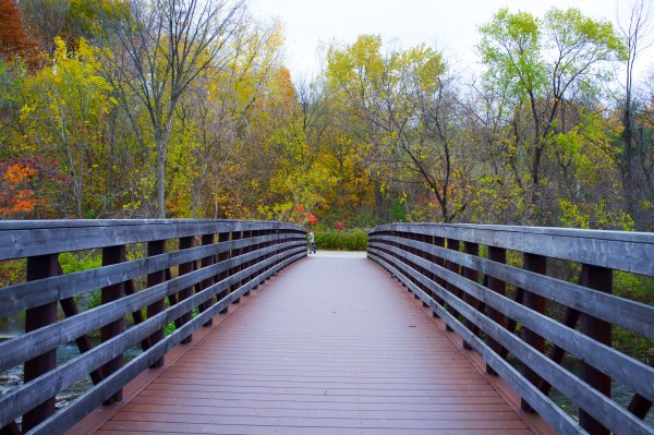 Природа парк мост