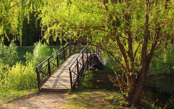 Мостик в Лосином острове