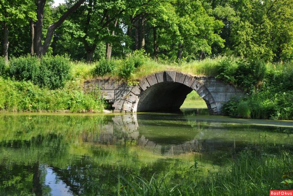 У пруда каменного моста Царское село