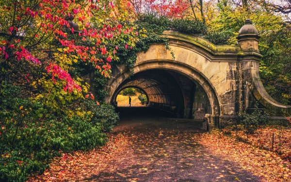 Парк в Нью-Йорке мостик