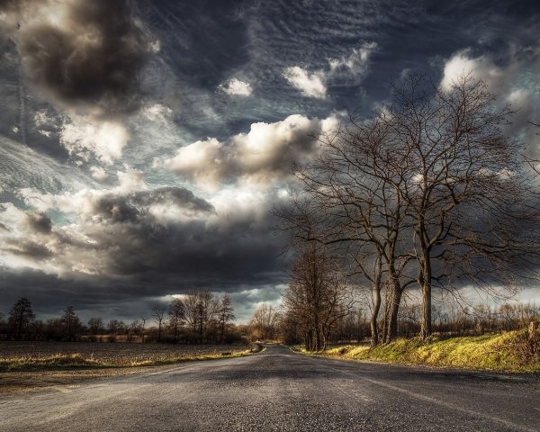 Пасмурная природа