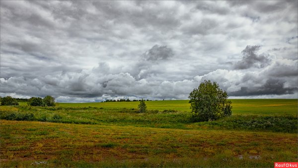 Пасмурная природа