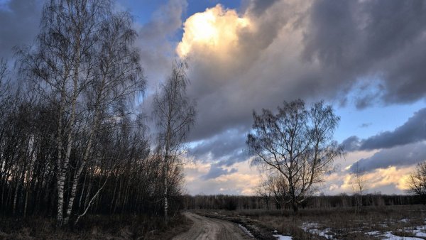 Пасмурная ранняя Весна