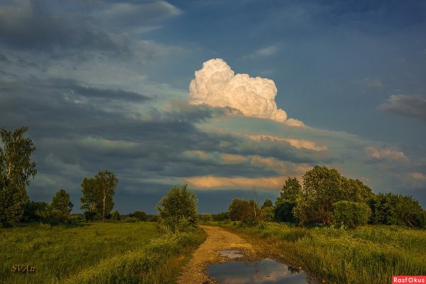 Природа после грозы