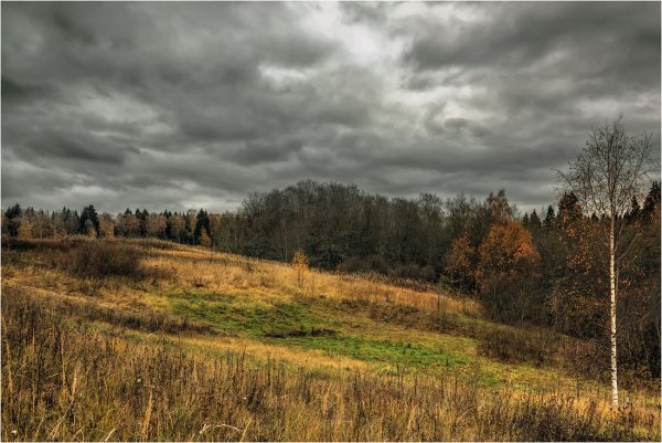 Пасмурная природа