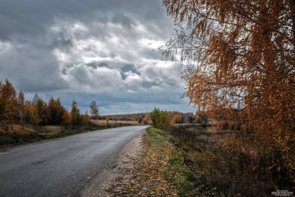 Пасмурная природа
