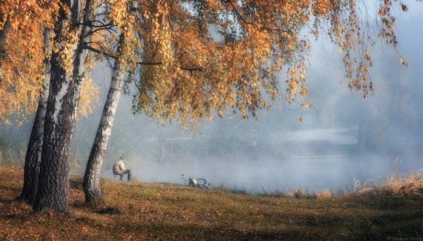 Осенний ветер фото