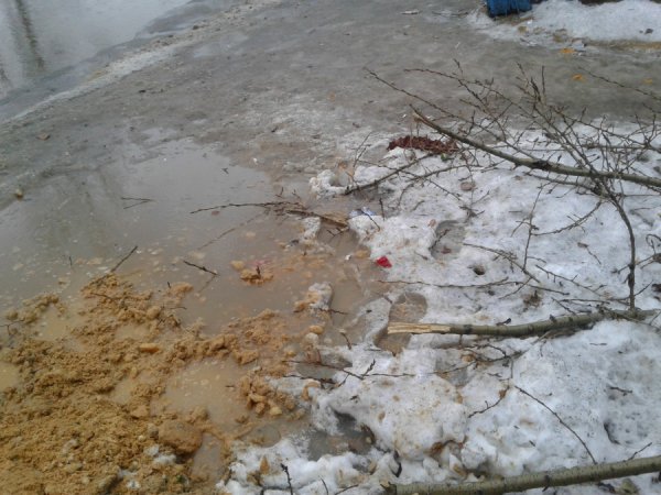 Отвратительная погода