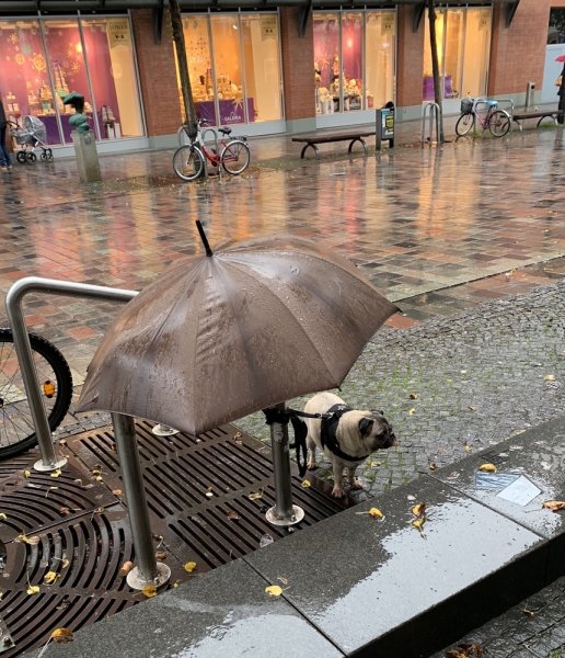 Немного о погоде