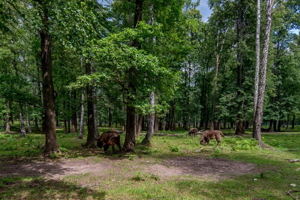 Национальный парк Серпухов