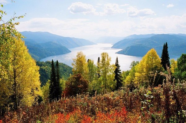 Алтайский заповедник Республика Алтай