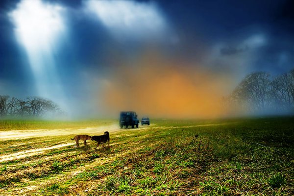 Изменчивый климат