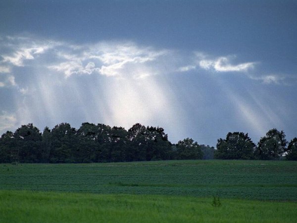 Ветер в июне