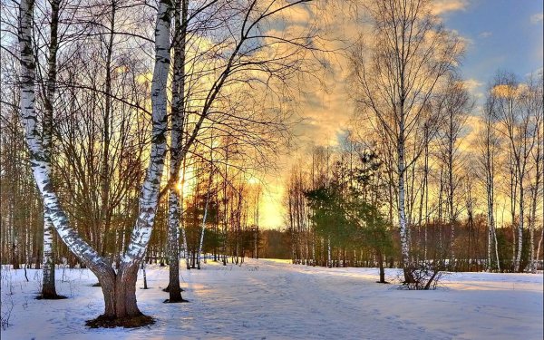 Март природа солнце