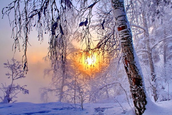 Февральский пейзаж