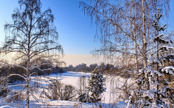 Февральский пейзаж