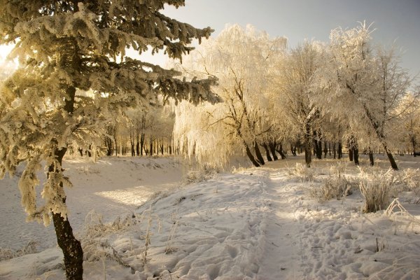 1 Февраля Макарьев день Макар Весноуказчик