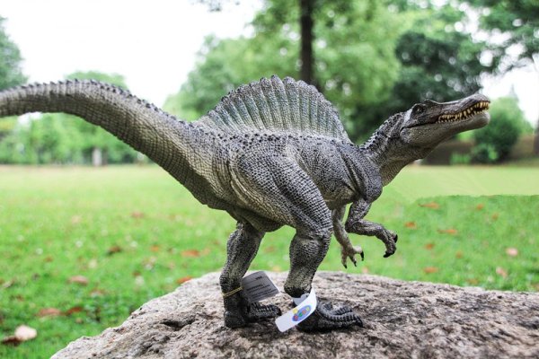 Картинки картинки динозавров папа