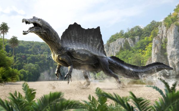 Спинозавр Египетский