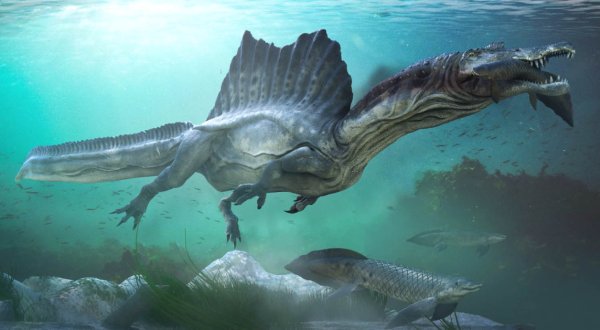 Спинозавр Египетский