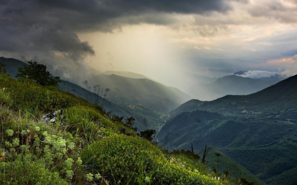 Дождь в горах