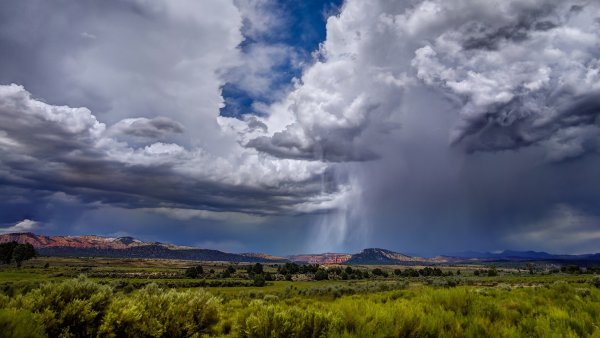 Перед грозой