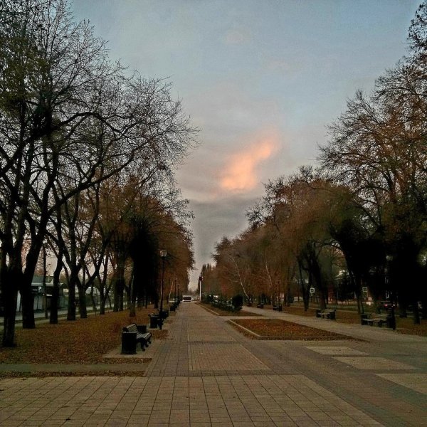Пастернак сухая Тихая погода на улице шагах