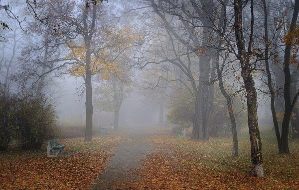 Осень туман