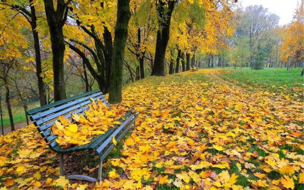Осенний парк