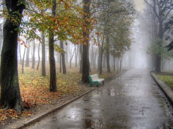 Поздняя осень дождь