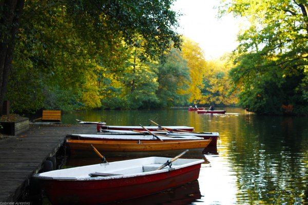 Катание на лодке