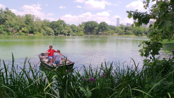 Катаются на пруду на лодке