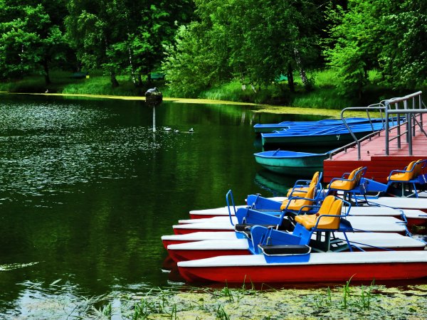 Катамаран ЦПКИО СПБ