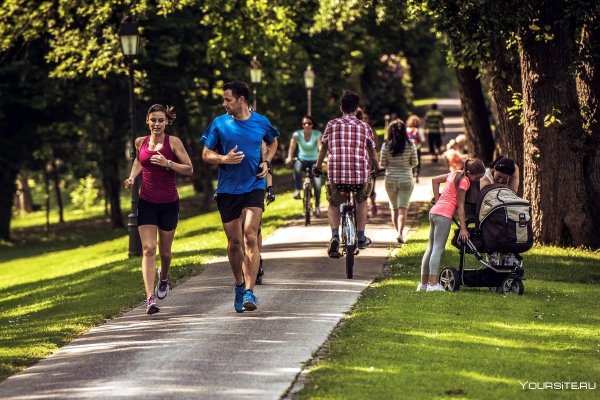 Прогулка в парке